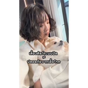 [ Set 4ขวด ] Leafaround สเปรย์กำจัดไรฝุ่นและแบคทีเรีย สูตรธรรมชาติจากลูกพลับ เป็นมิตรต่อเด็กและสัตว์ (4 ขวด)