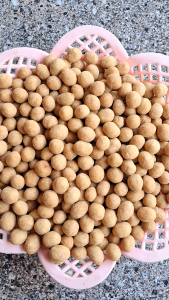 Kacang telorkacang oven berat 1kg kualitas super haga grosir