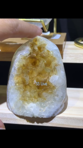 💛✨ 圆嘟嘟黄水晶|抢手新货 New Arrival ✨💛Raw Citrine with Polished Edge圆润饱满的天然黄水晶 💛 边缘抛光处理,背部保留天然原矿质感