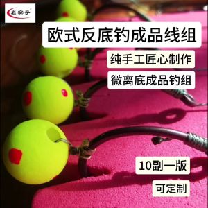 European Style Fishing Line Set Old Shed Carp Baits Weights Hooks Beads Anti Bottom Carrot Pole Sea Fishing European Way