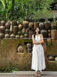 French Design Slimming V-Neck Sleeveless Maxi Dress Womens Summer High-End Sensation Long Skirt Style Commute Simple Material Other 100%