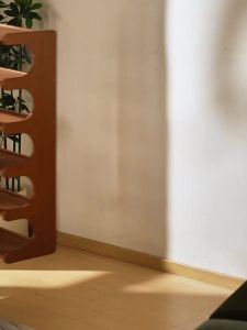 MOLORE | Multi-level Narrow Shoe Rack