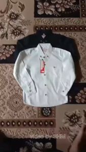 Kemeja Putih Lengan Panjang Anak Laki Laki Premium / Kemeja Polos Lengan Panjang Anak Laki Terbaru