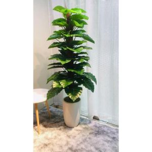 Cây trầu bà cột giả - Size 160cm - 63 lá - thân to - lá dày - loại cao cấp - Cây giả hoa lụa Decor trang trí nhà cửa quán cà phê nhà hàng