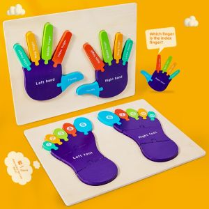 Hand Foot Puzzle Educational Cognitive Toy