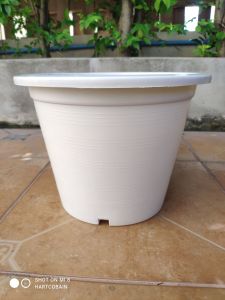 กระถางขาว 12 นิ้ว สินค้าพร้อมส่ง