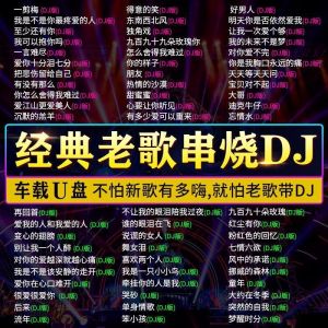 【现货正品】经典老歌DJ音乐U盘怀旧老歌慢摇串烧DJ舞曲U盘一剪梅至少还有你DJ Classic Old DJ Music U Disk Retro Slow Shake S String And DJ Dance U Disk
