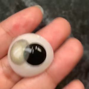 SOFTLENS OLALILA My Bollycond DNA GREEN / Softlen Natural Lens by Pinkin Softlens Normal Only