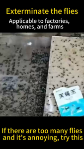 【No flies within 100 meters 】 Fly Killer Powder Serbuk Lalat 1 Pack Kills 1 Juta Flies Spray or Dry Use Fly Trap Penghalau Lalat Perangkap Lalat 500ml Spray Bottle Included