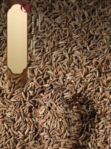 Commercial Cumin Seeds Grilled Halves Bulk Spices Barbecue Seasoning Flavorings Sichuan Peppercorns Hot Dry Goods Storage