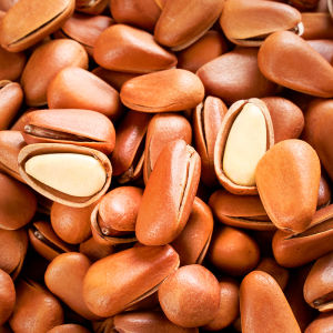 Fresh Large Easy Peel Pine Nuts