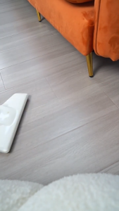 Dual Function Powerful Suction Large Capacity Vacuum Cleaner Wet and Dry (Plug-In)