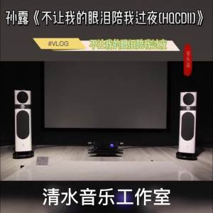 HIFI试音发烧女声音乐U盘精选孙露雷婷谭艳经典老歌无损音质优盘