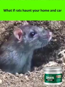 【50 Years Without Mice】rat repellent mouse repellent rat off spray penghalau tikus halau tikus mice repellent Natural plant ingredients suitable for pregnant and infants rat killer 驱鼠膏