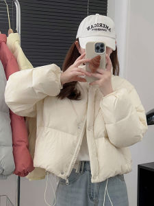 Off-Season Duck down Jacket Short Stand Collar Bread Style Womens Fashion Korean Version Memory Fabric Polyester Fiber