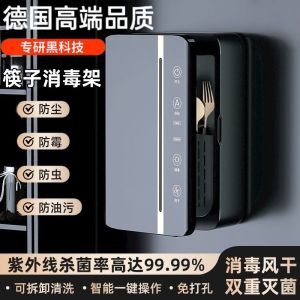 Smart Wall-Mounted Chopsticks Disinfection Machine High-End Intelligent Drying Integrated Home Use Storage Box Cabinet Rack