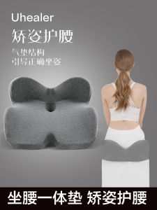 Ghế Làm Việc UHEALER Có Đệm Lưng Bằng Mép Nhớt Lưng Ghế Đơn Giản Hiện Đại Màu Trơn Sản Xuất Tại Tānān Shandong Trung Quốc