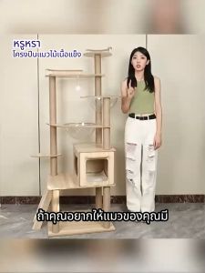 คอนโดแมว ขนาดใหญ่ แข็งแรงมาก ไม่สั่นไหว สูง170CM สำหรับ4-6ตัว พร้อมโดมนอนแบบใส ที่ลับเล็บแมว คอนโดแมวไม้ บ้านแมว