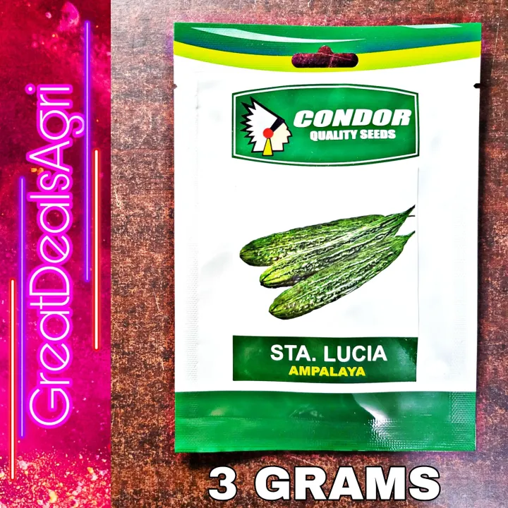 WICAGROCERY】StrawHatMountain【定価¥24,200】 wica grocery ☆麦わら帽子