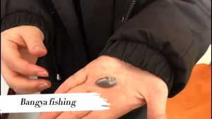 ชุด 3 ชิ้น ตะกั่วเดินหนอน 2g-13.5g ตะกั่วเท็กซัส ตะกั่วตกปลา ตะกั่วหนอนยาง ตะกั่วตะกั่วหนอนยาง ตะกั่วหนอน 2g-13.5g