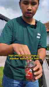 Pakan Pelet Makanan Ikan Mas Koki Goldfish Bulk Body Cacing Kering IKANESIA
