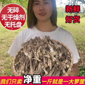 Premium Dry Velvet Shank Fungus No Sulphur No Sand Fresh Soup Ingredients 500g Edible Agricultural Products from Ningde Fujian