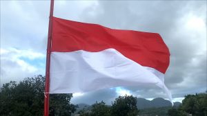 Bendera Merah Putih Indonesia Berbagai Ukuran kecil - Sedang - Besar - Jumbo