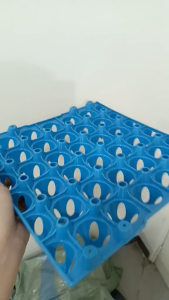 Regular Heavy Duty Colored Plastic Egg Tray