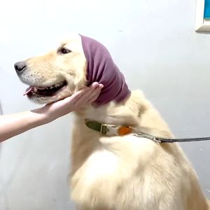 Soft Calming Band for Dog & Cat Anxiety ReliefNoise Canceling for ThunderstormsPet GroomingForce DryingCalming Aid