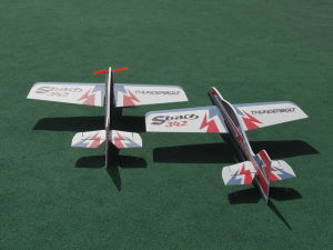 Máy Bay Điều Khiển EPP 3D Aerobatic Điện