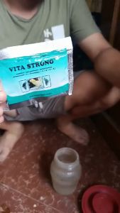 Vita Strong Multi Vitamins: A Key to Chicks' Growth