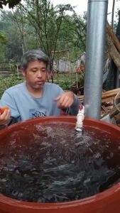 Van Phao Cơ Thông Minh Inox Tặng Kèm Băng Keo Lụa Van Điều Chỉnh Mực Nước Tự Động Ngắt Nước Khi Nước Đầy Bồn