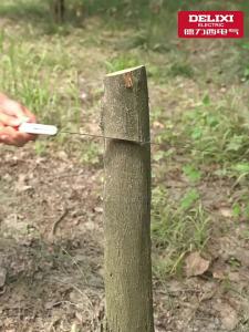 DELIXI | Fast Tree Cutting Hand Saw