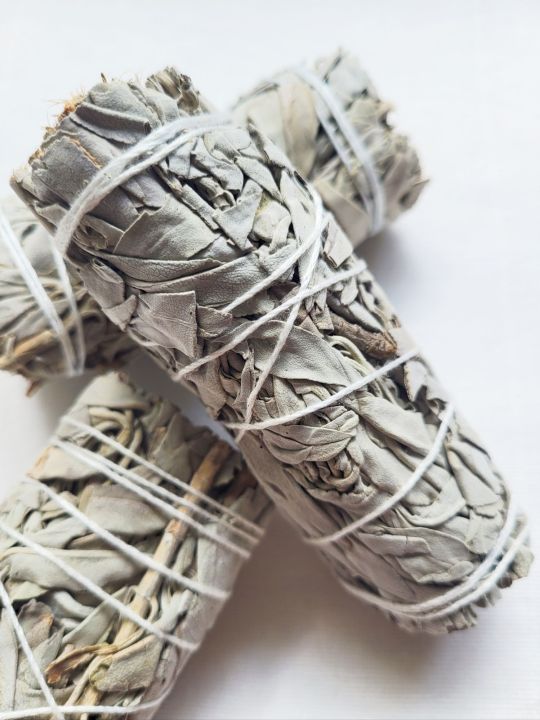 Sage for Cleansing Lazada Singapore