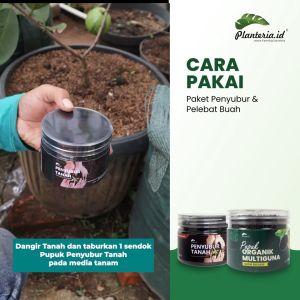 PLANTERIA - Pupuk Penyubur Tanaman & Pelebat Buah