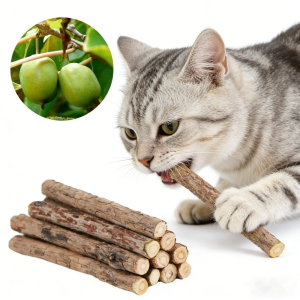 20Pcs 4-6mm Catnip Chew Sticks Natural Woodruff Cat Toys - for Teeth Cleaning & Kitten Entertainment Actinidia Silvervine