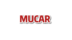 MUCAR CDE500 OBD2 Scanner car diagnostic scanner Check Engine Car Code Reader with Lifetime Upgrade Car Diagnostic Scanner EOBD Clean Code Diagnostic Tool