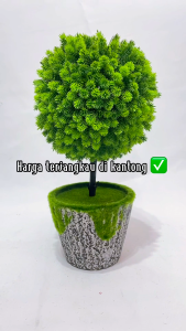 1 PAKET FULL SET POT Tanaman Hias Bonsai articial Sintetis Bola Mini Dekorasi Ruangan  CZ-1