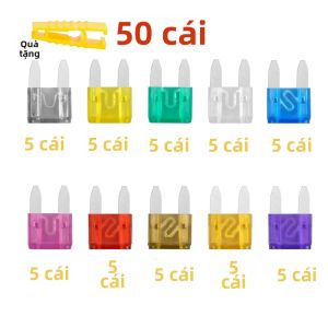 Bộ Cầu Chì Xe Hơi Xe Tải Xe Máy 2A-40A 50/100/120 Chiếc Bộ Cầu Chì Lưỡi Trung Bình Kèm Hộp Đựng Cho Hệ Thống Điện Ô Tô