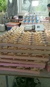 Tượng Thiên Thần Ark Mạ Vàng Bằng Nhựa Resin Đồ Trang Trí Nhà Cửa Sân Vườn Tượng Thiên Thần Nhỏ Đồ Trang Trí Thủ Công Quà Tặng Dành Cho Người Từ 14 Tuổi Trở Lên