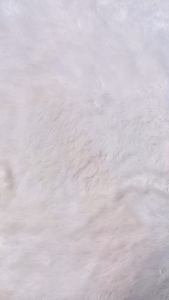 [ISI 3] Singlet Anak AGREE WARNA WARNI ST 03 / Singlet AGREE Kids / Kaos Dalam Anak