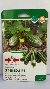 ศรแดง แตงไทยอ่อน ลายทอง จำนวน80เมล็ด/ซอง  หมดอายุ 21/04/2569 ลอตใหม่ งอกดี ติดผลเร็ว ดก ผลสีเขียวเข้มสลับลายชัดเจน รสชาติดี กรอบ อร่อย ระยะเก็บ 40 วัน