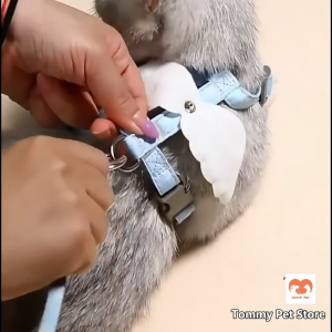 Adjustable Angel Wings Design Cat Harness with Comfortable Rope Traction for All Breed Cats