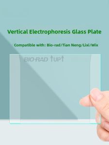 BioRad WB Electrophoresis Glass Plate TianNeng JuneWeiEx WIX 1653308 Laboratory Equipment for Teaching And Business Supplies
