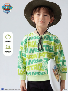 Paw Patrol | Color Block Boys Sweatshirt
