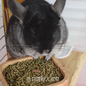 Jonsanty Chinchilla Food 2.27kg Pellets High Fiber High Protein Chinchilla Diet Timothy Hay Totoro