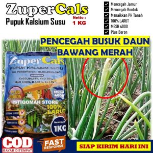OBAT PENYAKIT BAWANG MERAH DAUN KUNING PALING BAGUS ZUPERCALS 1 KG Pupuk Virus Daun Kuning Pada Sayuran Bawang Merah Pupuk Kalsium Susu Pencegah Busuk Daun Bawang Paling Ampuh Pupuk Pencegah Daun Kuning Bawang Daun Terbaik