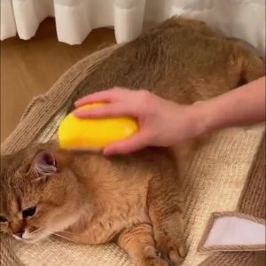 Cat Steam Brush Pet Massage Comb Cat Dog Grooming Comb Electric Spray Water Spray Cats Bath Brush Hair Brushes Grooming Supplies