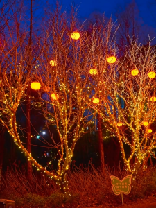 JOMO Buy 1 Take 1 Solar Christmas String Lights 180LED RGB Warm White IP67 Waterproof 8 Modes Auto Dusk Solar Outdoor Fairy Lamp For Home Yard Wedding Dinner Christmas Tree Cafe Front House Holiday Facade Decor