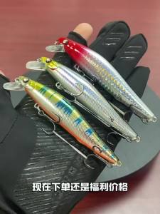 Ewitgo | Long Distance Slow Sinking Minnow Lure